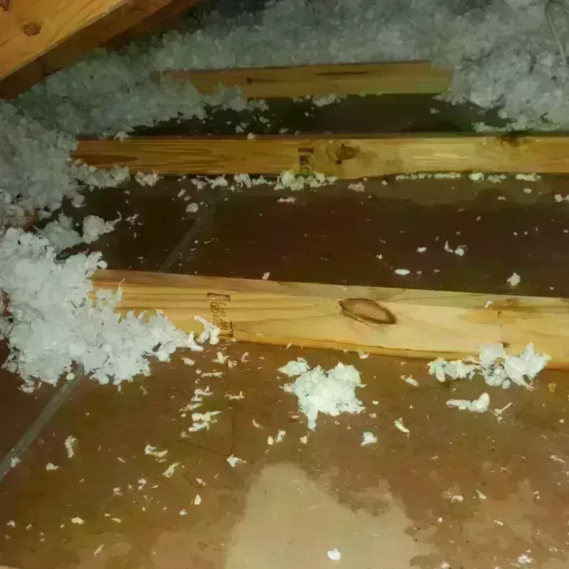 Attic Water Damage in Sunnyslope, WA